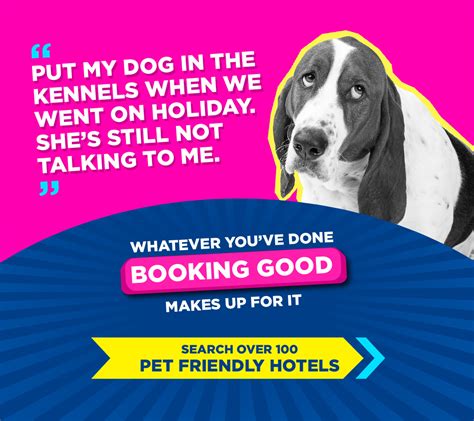 pet friendly best western|cat friendly hotels.